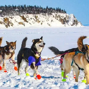 Explore Tailor-Made Aurora Safari & Icehotel Trip for 6 days with Agate Travel and discover unforgettable experiences - Photo 7