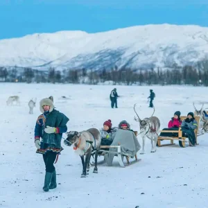 Explore Tailor-Made Aurora Safari & Icehotel Trip for 6 days with Agate Travel and discover unforgettable experiences - Photo 11