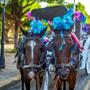 Explore Tailor-Made 13 Days Best Nicaragua Tour with Daily Departure for 13 days with Agate Travel and discover unforgettable experiences - Photo 4