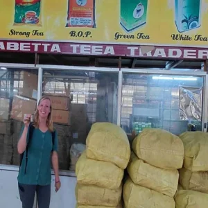 Explore Southern India Tour with Beaches and Houseboat Experience for 10 days with Agra Travels Service & Tours and discover unforgettable experiences - Photo 2