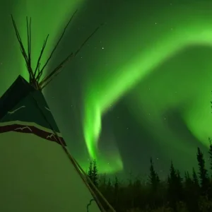 Explore Best Value Aurora Viewing | Wildlife & Hot Springs for 4 days with Arctic Range Adventure and discover unforgettable experiences - Photo 10