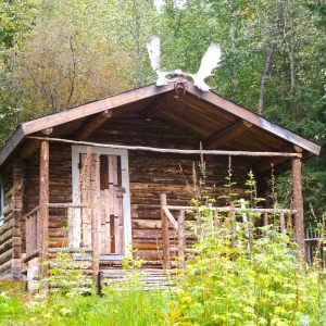 Explore Arctic Tundra & Dawson City | Naturally Wild for 6 days with Arctic Range Adventure and discover unforgettable experiences - Photo 8