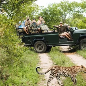 Explore Kruger Safari with Eswatini (Start Johannesburg (until 22 December 2025)) for 7 days with Contiki and discover unforgettable experiences - Photo 2