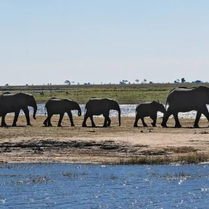 Explore Discover Victoria Trap - Cresta Sprayview for 3 days with DERTOUR and discover unforgettable experiences - Photo 6
