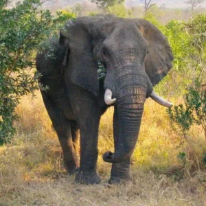 Explore Highlights of the north for 9 days with DERTOUR and discover unforgettable experiences - Photo 2