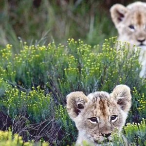 Explore Highlights of the north for 9 days with DERTOUR and discover unforgettable experiences - Photo 3