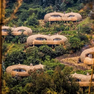 Explore Experience gorillas up close for 4 days with DERTOUR and discover unforgettable experiences - Photo 3