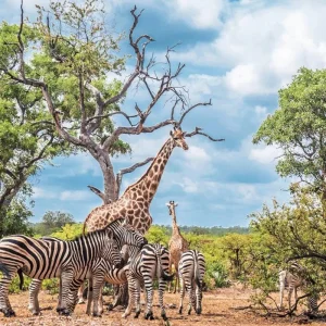 Explore Highlights of the north for 9 days with DERTOUR and discover unforgettable experiences - Photo 4