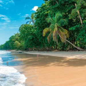 Explore Costa Rica for little explorers for 9 days with DERTOUR and discover unforgettable experiences - Photo 2