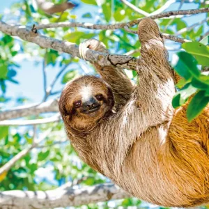 Explore Costa Rica for little explorers for 9 days with DERTOUR and discover unforgettable experiences - Photo 3