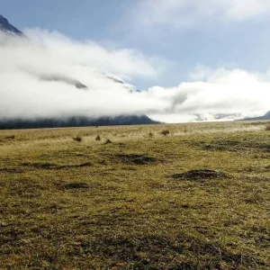 Explore Natural Wonders of New Zealand (from Christchurch to Auckland) for 19 days with DERTOUR and discover unforgettable experiences - Photo 3
