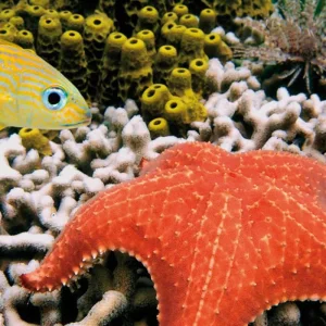 Explore Cahuita National Park for 3 days with DERTOUR and discover unforgettable experiences - Photo 3