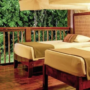 Explore Peru's rainforest - Posada Amazonas for 4 days with DERTOUR and discover unforgettable experiences - Photo 2