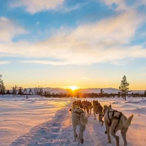 Explore Aurora Village - Northern Lights for 4 days with DERTOUR and discover unforgettable experiences - Photo 4