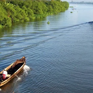 Explore Mekong Delta for 3 days with DERTOUR and discover unforgettable experiences - Photo 3