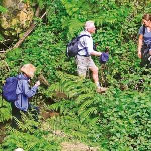 Explore Madeira - Green dream island in the Atlantic for 8 days with DERTOUR and discover unforgettable experiences - Photo 2