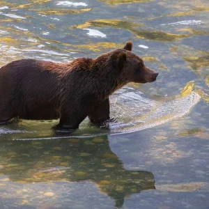 Explore Klahoose Wilderness Resort for 4 days with DERTOUR and discover unforgettable experiences - Photo 2