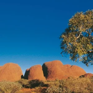 Explore Experience the Red Center for 7 days with DERTOUR and discover unforgettable experiences - Photo 3