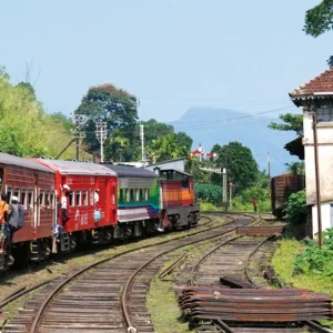 Explore Sri Lanka's cultural highlights and the highlands (group tour) for 6 days with DERTOUR and discover unforgettable experiences - Photo 4