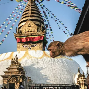 Explore Kathmandu Sightseeing Day Tour for 1 days with Destination Unlimited Treks and Expeditions Pvt Ltd and discover unforgettable experiences - Photo 5
