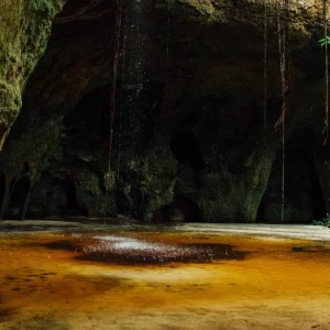 Explore Amazon Secrets - Presidente Figueiredo for 4 days with ETours Brazil DMC and discover unforgettable experiences - Photo 5