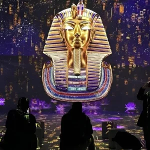 Explore Egypt Magic - 6 Days Pyramids , GEM museum ,  Cairo City Tour + Camping in the White Desert with PRIVATE transfers for 6 days with Egypt Best Holidays  and discover unforgettable experiences - Photo 4