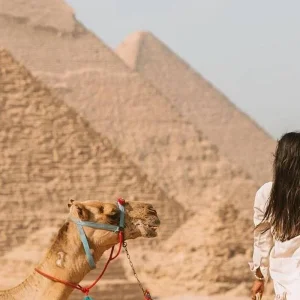 Explore Egypt Magic - 6 Days Pyramids , GEM museum ,  Cairo City Tour + Camping in the White Desert with PRIVATE transfers for 6 days with Egypt Best Holidays  and discover unforgettable experiences - Photo 11