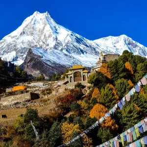 Explore Manaslu Circuit Trek for 14 days with Escape Himalaya Trek and discover unforgettable experiences - Photo 10