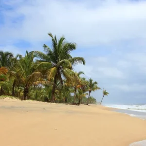 Explore Spiritual Tamilnadu with Enchanting Kerala for 14 days with GeTS Holidays and discover unforgettable experiences - Photo 3