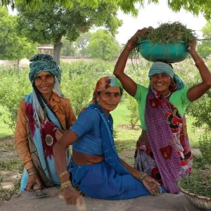 Explore Spiritual Tamilnadu with Enchanting Kerala for 14 days with GeTS Holidays and discover unforgettable experiences - Photo 7