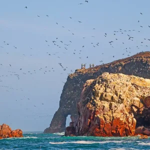 Explore Paracas - Desert and Sea for 4 days with Gebeco and discover unforgettable experiences - Photo 2