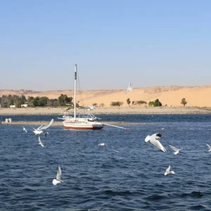 Explore 9-Day Egypt Escape from New York International Flight Inc: Pyramids, Grand Egyptian Museum & 5 Star Nile Cruise for 9 days with Golden Egypt and discover unforgettable experiences - Photo 4