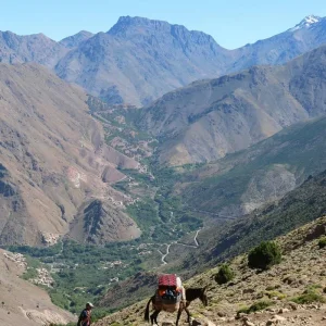 Explore 7-Day Atlas Mountains Hiking & Waterfalls Adventure for 7 days with Imago Travel and discover unforgettable experiences - Photo 6