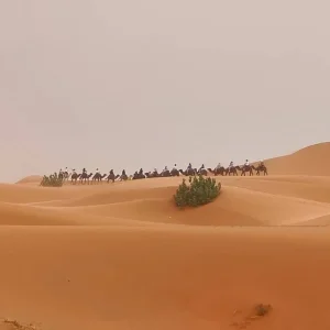 Explore 8-Day Private Imperial Cities & Sahara Desert Tour of Morocco for 8 days with Imago Travel and discover unforgettable experiences - Photo 9