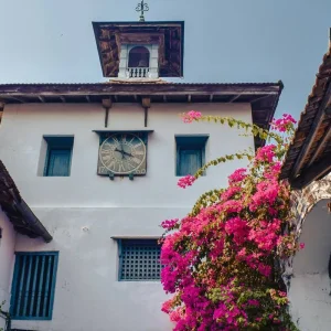 Explore India Taj and Tiger Tour with Kerala for 15 days with Ramble Advisor and discover unforgettable experiences - Photo 4