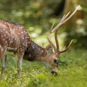 Explore Kerala Tour Package With Houseboat for 8 days with Ramble Advisor and discover unforgettable experiences - Photo 5