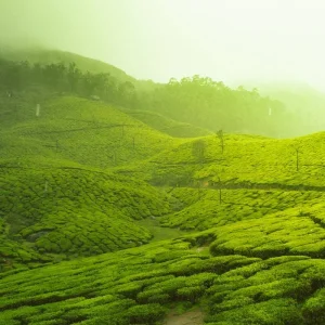 Explore Grand Tour of Southern India for 25 days with Ramble Advisor and discover unforgettable experiences - Photo 7