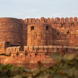 Explore India Taj and Tiger Tour with Kerala for 15 days with Ramble Advisor and discover unforgettable experiences - Photo 6