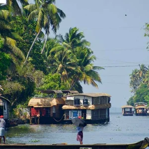 Explore Beautiful Kerala Backwater & Wildlife Tour for 5 days with Real viaggi india  and discover unforgettable experiences - Photo 3