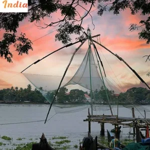 Explore Beautiful Kerala Backwater & Wildlife Tour for 5 days with Real viaggi india  and discover unforgettable experiences - Photo 4