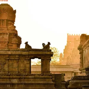 Explore South india tour with Pariyar National park & kerala for 11 days with Real viaggi india  and discover unforgettable experiences - Photo 3