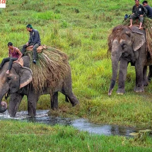 Explore 5 Days Nepal Tour for 5 days with Real viaggi india  and discover unforgettable experiences - Photo 4