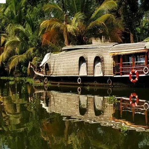 Explore Beautiful Kerala Backwater & Wildlife Tour for 5 days with Real viaggi india  and discover unforgettable experiences - Photo 6