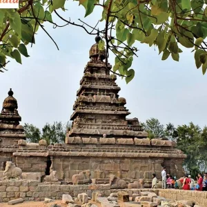 Explore South india tour with Pariyar National park & kerala for 11 days with Real viaggi india  and discover unforgettable experiences - Photo 5