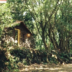 Explore 2 Night 3 Days Kabini Tour From Bangalore for 3 days with Real viaggi india  and discover unforgettable experiences - Photo 5