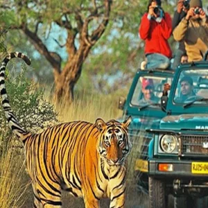 Explore 15 Days Golden Triangle Tour Amritsar & Varanasi & Goa for 15 days with Real viaggi india  and discover unforgettable experiences - Photo 4