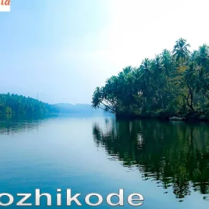 Explore 6 Days Wayanad  Tour package from Bangalore for 6 days with Real viaggi india  and discover unforgettable experiences - Photo 6