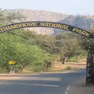 Explore 18 days North India  Wildlife & Goa Beach for 18 days with Real viaggi india  and discover unforgettable experiences - Photo 5