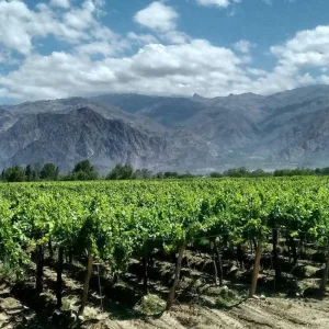 Explore Argentina: Tucumán, Salta, Jujuy, Cafayate, Purmamarca, Humahuaca - 8 days for 8 days with Receptivo Aborigen Tours and discover unforgettable experiences - Photo 8