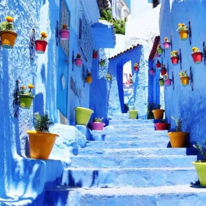 Explore North Morocco Tour + the Blue City + Fez for 8 days with Ricks Voyage and discover unforgettable experiences - Photo 11